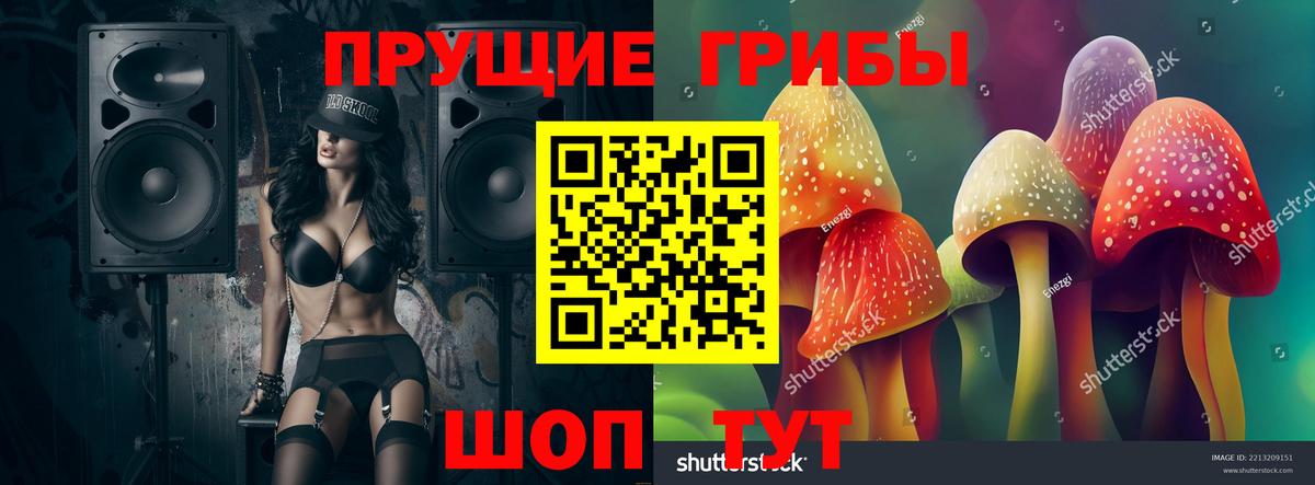 Кизляр  Псилоцибиновые грибы прущие грибы  Вход с VPN  Псилоцибиновые грибы GOLDEN TEACHER 